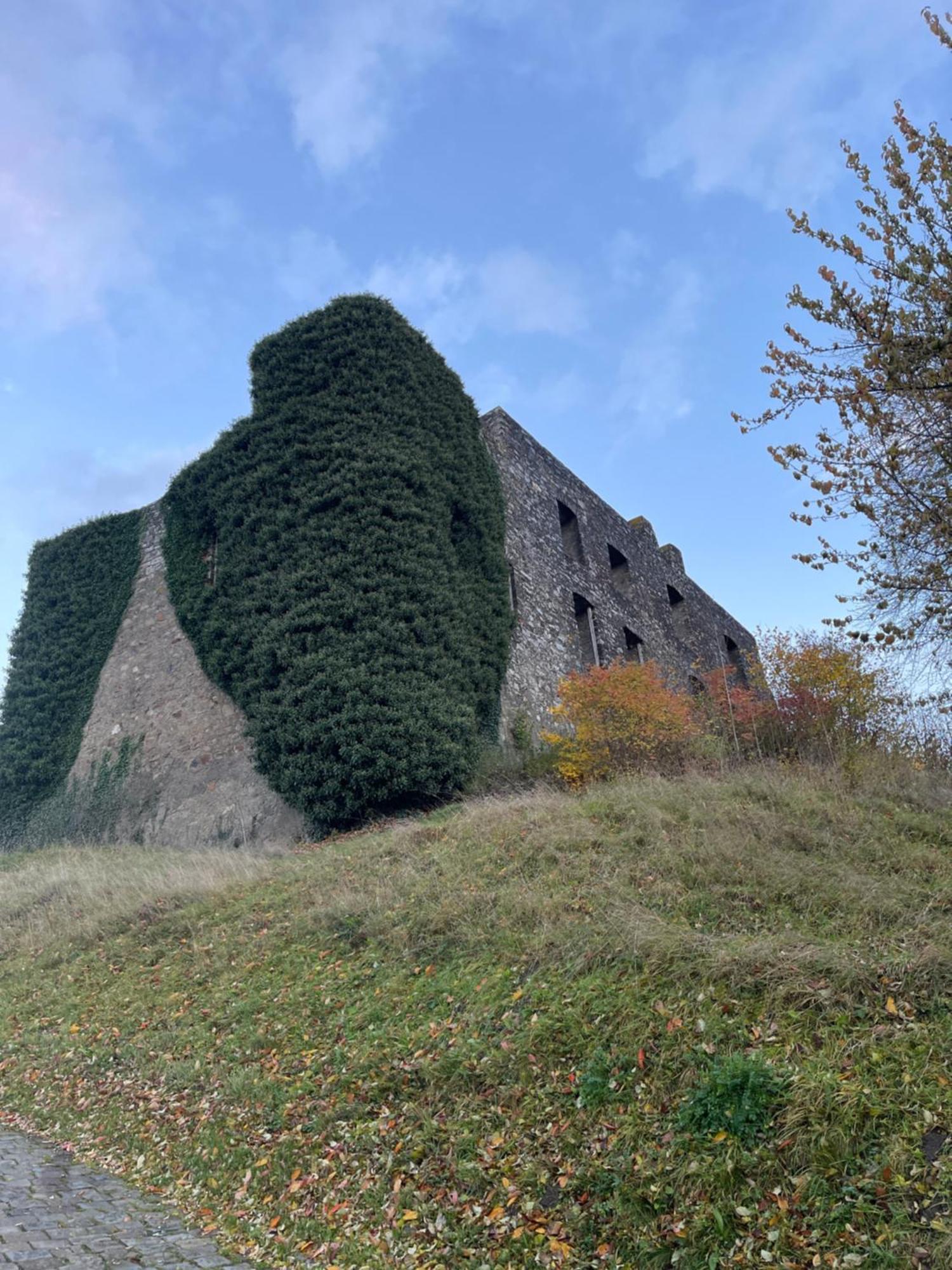 Ritterstube - Eifelstuben Mit Charme, Naehe See Und Burg, Aussergewoehnlich, Vulkaneifel Ulmen Dış mekan fotoğraf
