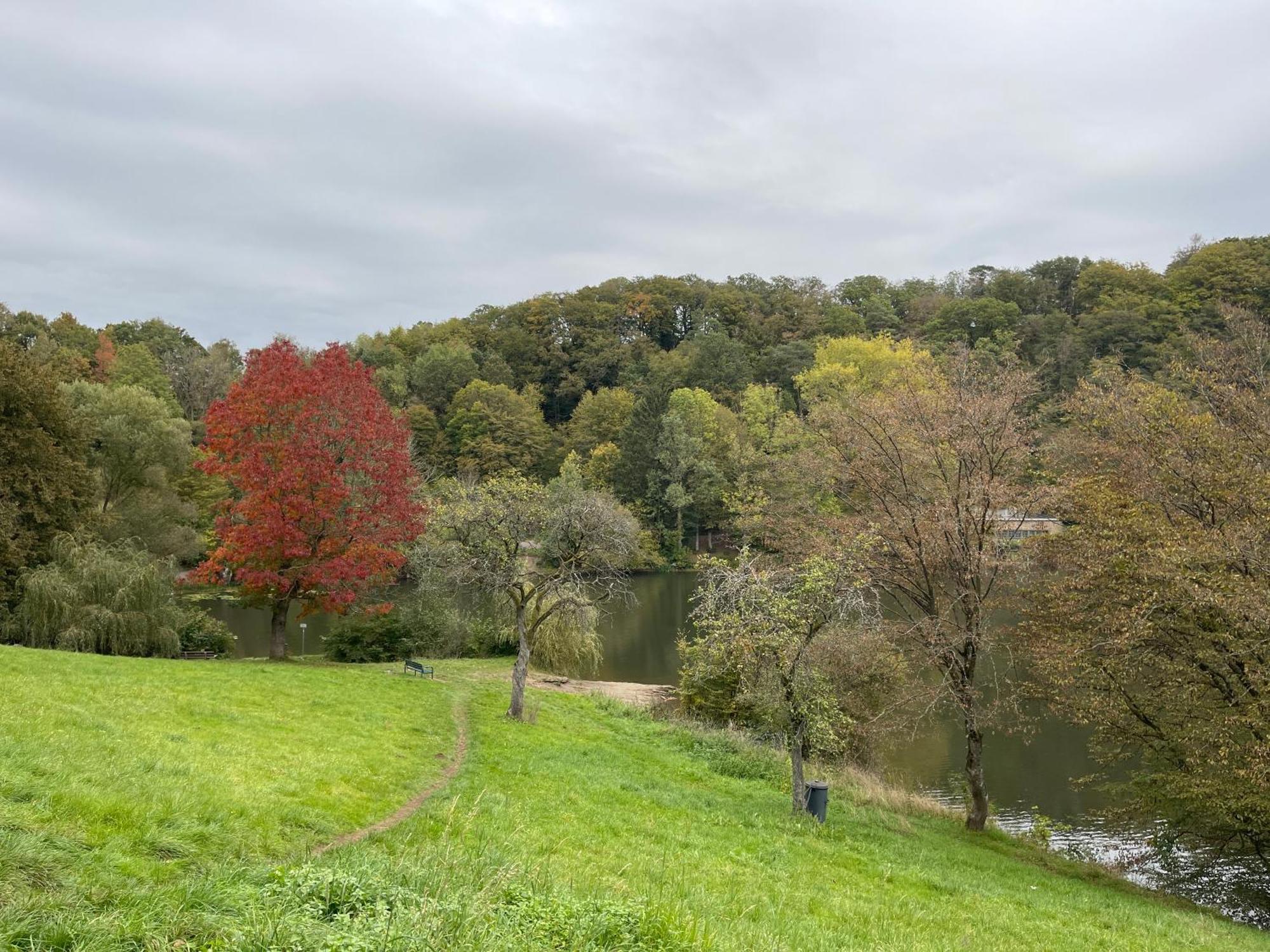 Ritterstube - Eifelstuben Mit Charme, Naehe See Und Burg, Aussergewoehnlich, Vulkaneifel Ulmen Dış mekan fotoğraf